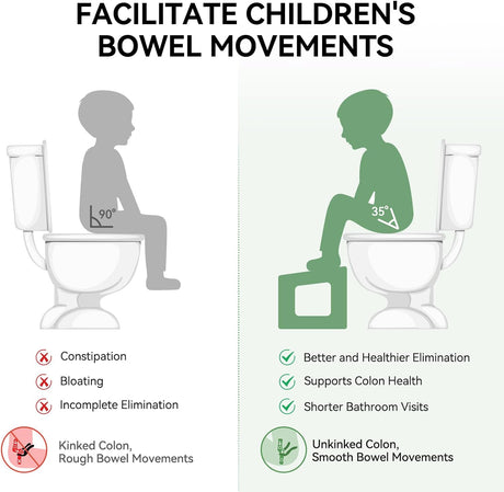 3-in-1 Potty Training Toilet Stool