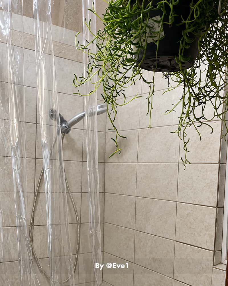 AmazerBath clear 12G PVC shower curtain liner hanging in a tiled shower beneath a cascading green plant.
