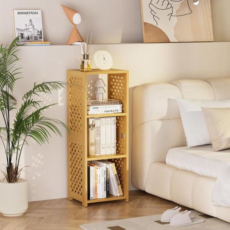 Standing Bookshelf