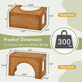 3-in-1_Potty_Training_Toilet_Stool_