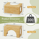 3-in-1_Potty_Training_Toilet_Stool