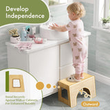 3-in-1_Potty_Training_Toilet_Stool