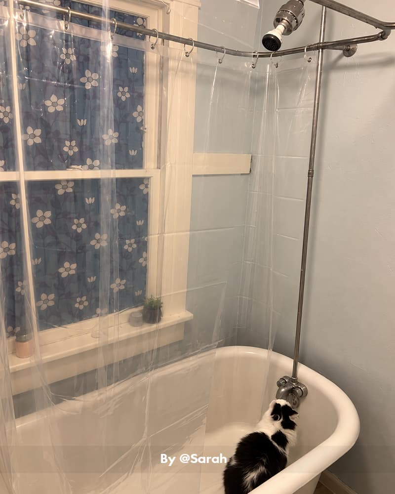 AmazerBath clear 8G PEVA shower curtain liner surrounding a clawfoot tub beside a floral window curtain and black cat.