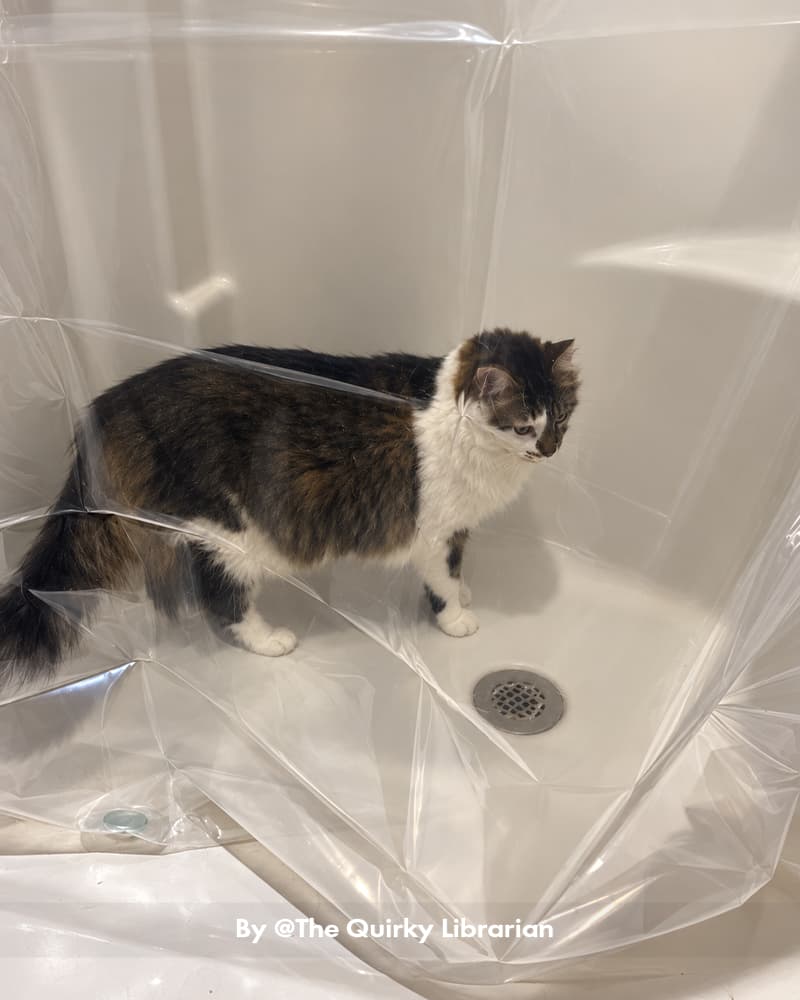 AmazerBath clear 8G PEVA shower curtain liner draped inside a white shower base with a cat standing near the drain.