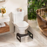 Bathroom setting with a toilet, step stool, and decorative elements.