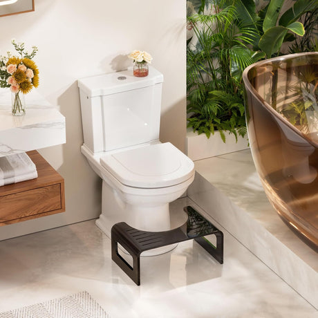 Bathroom setting with a toilet, step stool, and decorative elements.