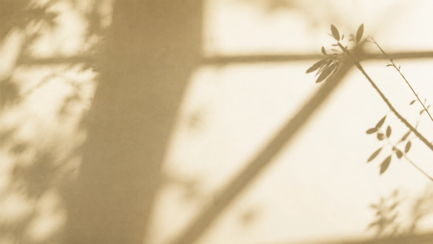 Warm neutral background with soft window and leafy shadows for the AmazerBath email signup banner